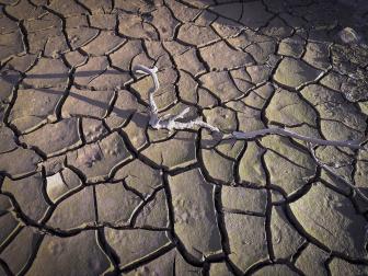 Los restos del antiguo pueblo de Mansilla han quedado parcialmente al descubierto tras el descenso del nivel del embalse, aunque todavía permanecen zonas bajo el agua