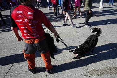 Fotos de la Carrera Solidaria contra el Cäncer de Mána organizada por Saray este domingo, 25 de octubre, en Pamplona