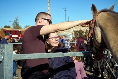 Público asistente a la feria de octubre de Tafalla celebrada este domingo, día 25