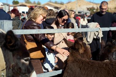 Público asistente a la feria de octubre de Tafalla celebrada este domingo, día 25