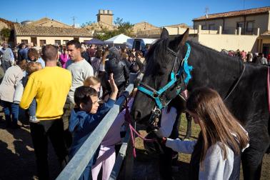 Público asistente a la feria de octubre de Tafalla celebrada este domingo, día 25