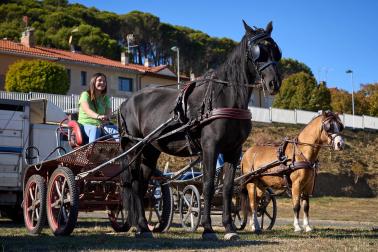 Público asistente a la feria de octubre de Tafalla celebrada este domingo, día 25