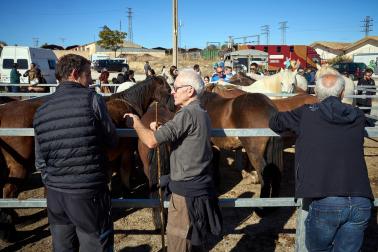 Público asistente a la feria de octubre de Tafalla celebrada este domingo, día 25