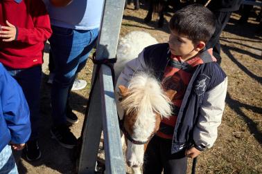 Público asistente a la feria de octubre de Tafalla celebrada este domingo, día 25