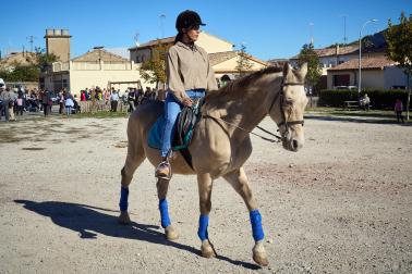 Público asistente a la feria de octubre de Tafalla celebrada este domingo, día 25