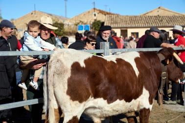 Público asistente a la feria de octubre de Tafalla celebrada este domingo, día 25