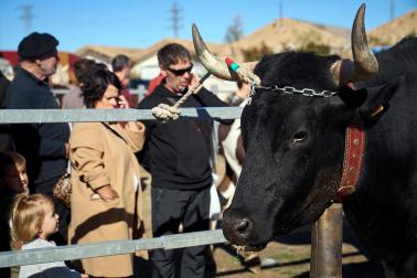 Público asistente a la feria de octubre de Tafalla celebrada este domingo, día 25
