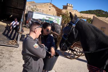 Público asistente a la feria de octubre de Tafalla celebrada este domingo, día 25