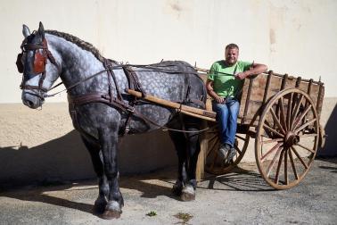 Público asistente a la feria de octubre de Tafalla celebrada este domingo, día 25