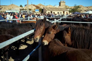 Público asistente a la feria de octubre de Tafalla celebrada este domingo, día 25