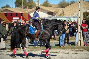 Público asistente a la feria de octubre de Tafalla celebrada este domingo, día 25