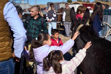 Público asistente a la feria de octubre de Tafalla celebrada este domingo, día 25