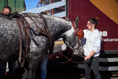 Público asistente a la feria de octubre de Tafalla celebrada este domingo, día 25