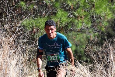 XI Peña Roya Trail