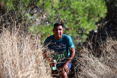 XI Peña Roya Trail