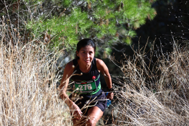 XI Peña Roya Trail