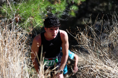 XI Peña Roya Trail