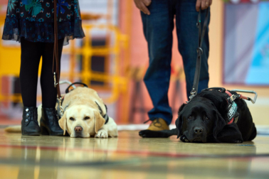 Fundación ONCE organizó en el pabellón de la UPNA una exhibición de perros guía