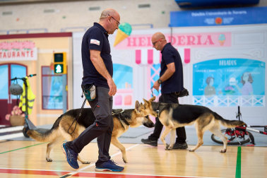 Fundación ONCE organizó en el pabellón de la UPNA una exhibición de perros guía