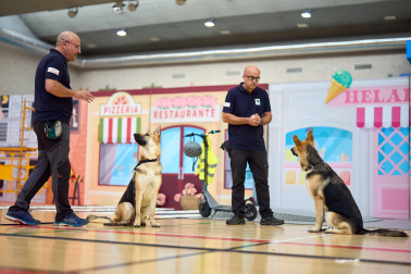 Fundación ONCE organizó en el pabellón de la UPNA una exhibición de perros guía