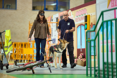 Fundación ONCE organizó en el pabellón de la UPNA una exhibición de perros guía