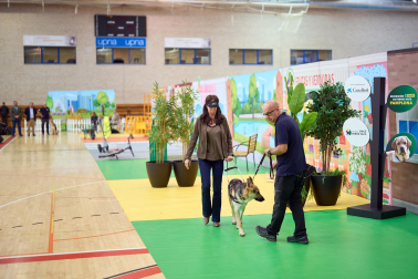 Fundación ONCE organizó en el pabellón de la UPNA una exhibición de perros guía