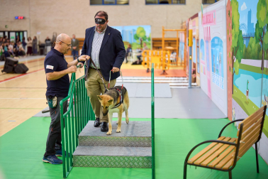 Fundación ONCE organizó en el pabellón de la UPNA una exhibición de perros guía