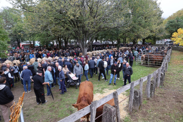Fotos de la Feria de otoño de Elizondo