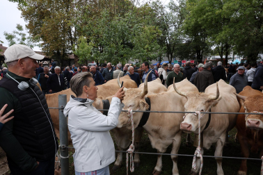 Fotos de la Feria de otoño de Elizondo