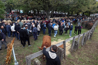 Fotos de la Feria de otoño de Elizondo