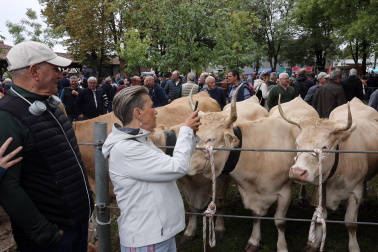 Fotos de la Feria de otoño de Elizondo