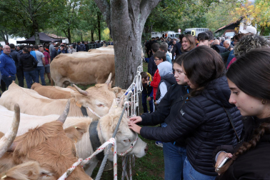 Fotos de la Feria de otoño de Elizondo