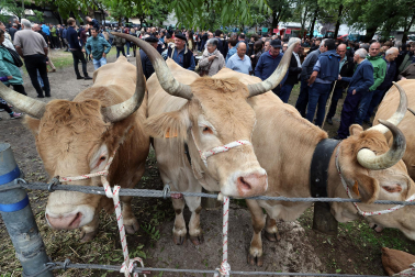 Fotos de la Feria de otoño de Elizondo