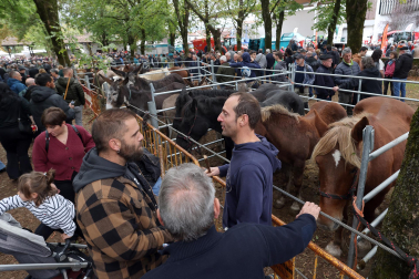 Fotos de la Feria de otoño de Elizondo