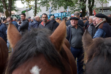 Fotos de la Feria de otoño de Elizondo