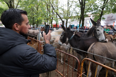 Fotos de la Feria de otoño de Elizondo