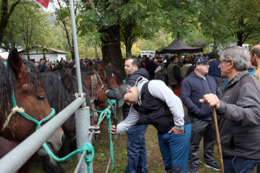 Fotos de la Feria de otoño de Elizondo