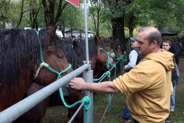 Fotos de la Feria de otoño de Elizondo