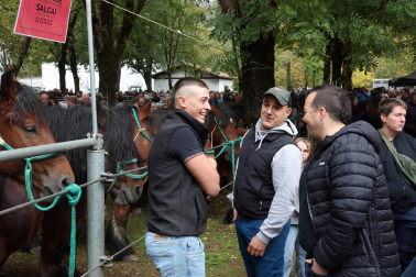 Fotos de la Feria de otoño de Elizondo