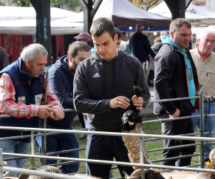 Fotos de la Feria de otoño de Elizondo