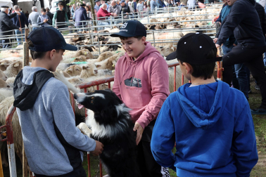 Fotos de la Feria de otoño de Elizondo