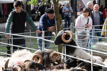 Fotos de la Feria de otoño de Elizondo