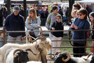 Fotos de la Feria de otoño de Elizondo