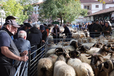 Fotos de la Feria de otoño de Elizondo