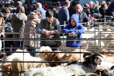 Fotos de la Feria de otoño de Elizondo