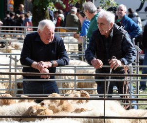 Fotos de la Feria de otoño de Elizondo