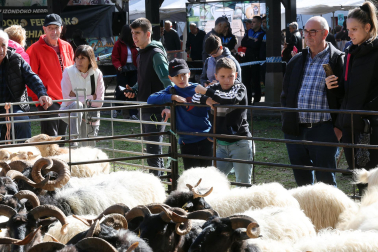 Fotos de la Feria de otoño de Elizondo