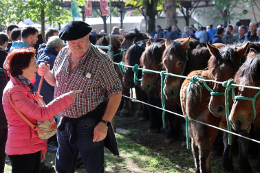 Fotos de la Feria de otoño de Elizondo