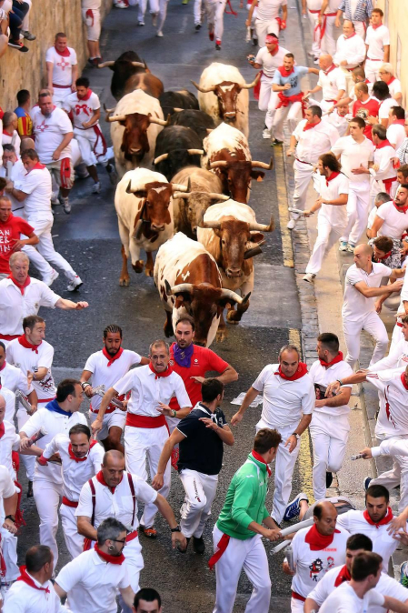Las mejores imágenes del encierro exclusivas de los fotógrafos de Diario de Navarra