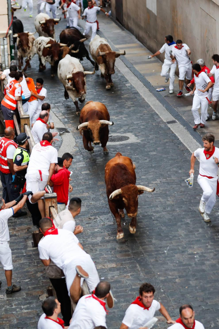 Un encierro masivo y sin cornadas en el domingo de Sanfermines